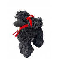 BLACK POODLE STANDING WITH RED COLLAR