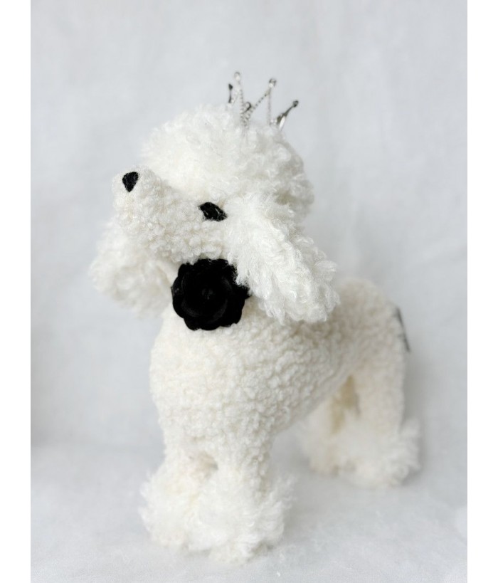 WHITE POODLE STANDING WITH CROWN