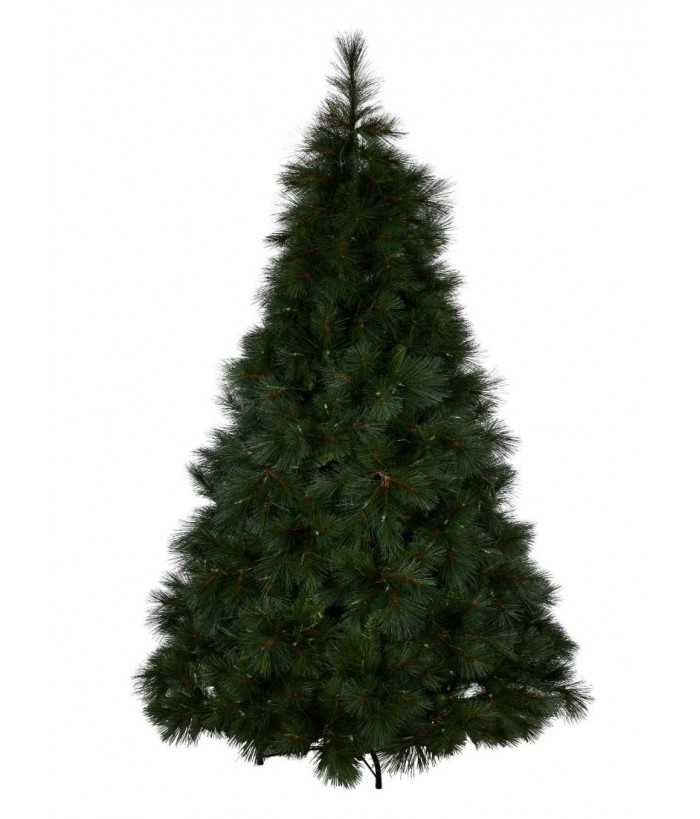 LONG-NEEDLE GREEN PINE CHRISTMAS TREE, 213CM TALL