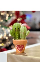 Valentine Prickly Pear Cactus